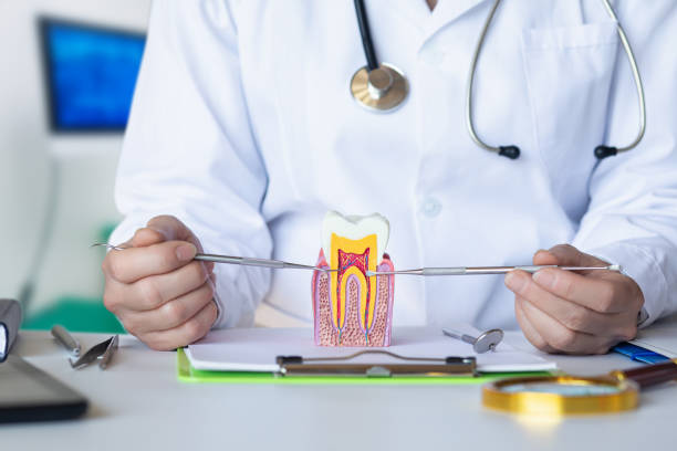 Best Emergency Dentist for Special Needs Patients in Langdon, ND